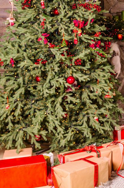 Boucles d'oreilles Christmas vibe | Fer à cheval